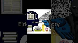 Eidetic memory vs Visual memory Meme edit fyp trending foryou viral fypシ fypシ゚viral fy [upl. by Melodie]