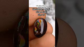 Kecubung Antik Borneo Pelangi Smooky Quartz Rainbow amethyst gemstone crystal [upl. by Ordnasil780]