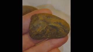 Petrified Wood or Painted Indigenous peoples Archaic rock art carved antropology birds artifacts [upl. by Nomsed25]