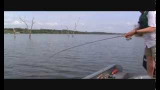 Intro to Crappie Fishing  Iowa DNR [upl. by Asilanna]