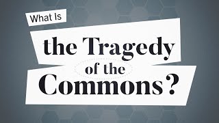 What Is the Tragedy of the Commons  Business Explained [upl. by Burner]