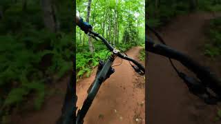 The Mussel Sock MTB Trail Brookvale PEI mtb [upl. by Gerard294]