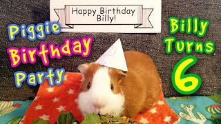 Guinea Pig Birthday Party  Billy Turns 6 Years Old [upl. by Ott]