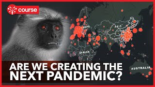 Zoonotic Diseases  How the next Pandemic could happen [upl. by Ayanaj]