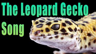 The Leopard Gecko Song  Reptile Raps [upl. by Trudy564]