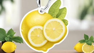 DIY Homemade Lemon Air Fresheners [upl. by Mongeau]