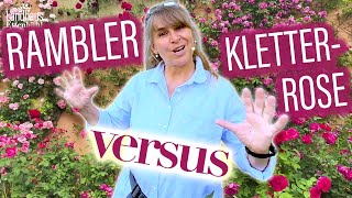 Ramblerrose VS Kletterrose    Erfahren Sie WELCHE Rose SCHÖNER wirkt  RückschnittTiPPs [upl. by Boucher]