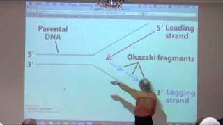 DNA Replication Recombination Repair II [upl. by Haidabez]