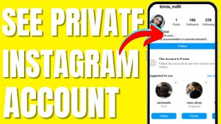 How to See Private Account Followers on Instagram 2024 [upl. by Bertha464]