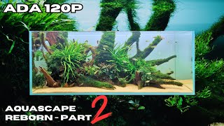 AQUASCAPE REBORN  WE MADE IT BIGGER AND BETTER PART 2 [upl. by Calv963]