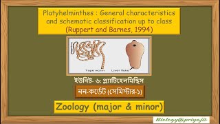 Exploring Platyhelminthes General Characteristics and Classification [upl. by Mozza]