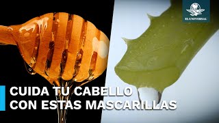 Estas son 3 mascarillas con aloe vera para hidratar tu cabello en casa [upl. by Janos]