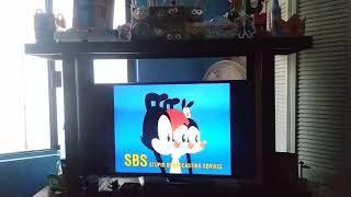 Animaniacs Baloney amp Kids Intro ESP [upl. by Sarajane]