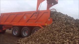 The Larrington Beet Chaser Trailer [upl. by Hairej]