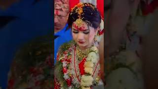 eleena chauhan married vedio [upl. by Uoliram91]