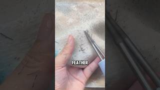 Efficient Electric Poultry Feather Plucker A StepbyStep Guide😅😅 wildanimalfacts facts [upl. by Marcella5]