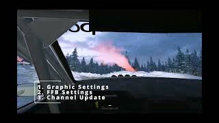 My Graphics amp Force Feedback Settings  EA Sports WRC [upl. by Tarazi]