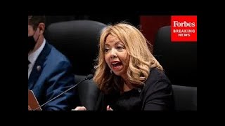 Lucy McBath Asks ATF Director About How Bipartisan Safer Communities Act Has Been Implemented [upl. by Annawek]