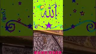 کربلا VIRAL VEDIO SUBCRIBE BEST YOUTUBE CHANNEL SUNO DEEN HOW TO MAKE BEST VEDIO [upl. by Akemeuwkuhc814]