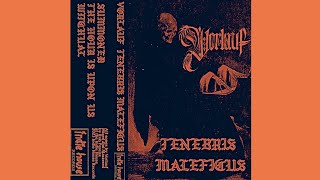 VORLAUF  TENEBRIS MALEFICUS DUNGEON SYNTHCHIPTUNEKELLER SYNTH [upl. by Lahcym596]