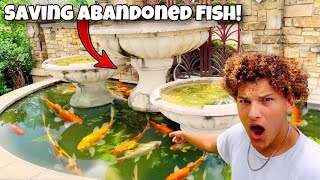 Saving ABANDONED Aquarium FISH From FOUNTAIN POND [upl. by Miharba980]