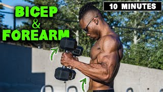 10 MINUTE LIGHTWEIGHT DUMBBELL BICEP amp FOREARM WORKOUT [upl. by Draper548]