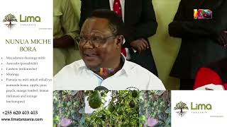 TUNDU LISSU KUHUSU UCHAGUZI WA SERIKALI ZA MITAA [upl. by Nagiem772]