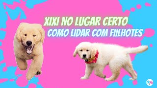 XIXI NO LUGAR CERTO COMO LIDAR COM FILHOTES [upl. by Acinna]