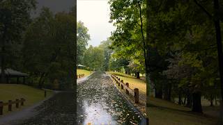 A rainy walk in New York Park 4K newyorkcity travel usa [upl. by Bathsheeb]