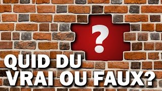 VRAI FAUX ET INCOMPLÉTUDE  Quid [upl. by Roinuj]