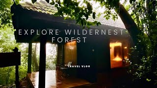 Wildernest resort goaChorla ghatGoa forest resortsgoa wildernestresortforestwilderness [upl. by Essie]