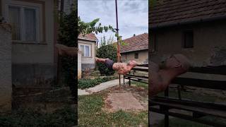 Ez lehetetlen impossible incredible gravity rockair homegym homeworkout [upl. by Norvun]