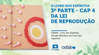 CEFAK  Lei de Reprodução  22102024 [upl. by Mixie]