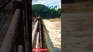 A dam crossing a stream🫠😁watertravelsrilanka [upl. by Atined]