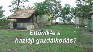 Eltűnike a háztáji gazdálkodás [upl. by Artiek]