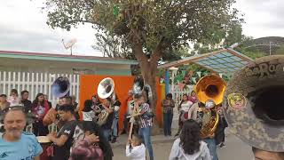 Banda las estrellas del pacífico tocando el gallo 🐓 viejo 🔝‼️ [upl. by Ellerd]