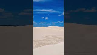 Lancelin sand dunes 🇦🇺 westernaustralia australia explore travel shorts [upl. by Auhsot]