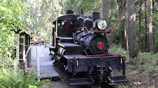 A new camera and the Cowichan Valley Railway [upl. by Irik299]