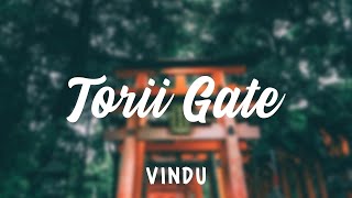 Vindu  Torii Gate lofi chillhophiphop japanese lofi [upl. by Iiette729]