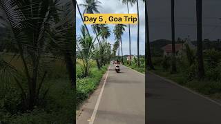 Goa Trip Day5shortsyoutubeshorts travel [upl. by Volney]