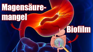 Warum die Magensäure so wichtig ist die meisten haben zu wenig amp Biofilm loswerden  DarmKongress [upl. by Jobey]