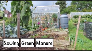 Sowing Green Manure On The Allotment For Winter  ALLOTMENT LIFE VLOG 34 [upl. by Llerrad]