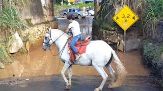 Colocando o cavalo Gaúcho pra atravessar um alagado [upl. by Nauqat]