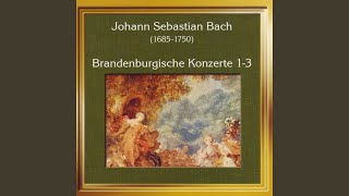 Brandenburgisches Konzert Nr 1 BWV 1046 Adagio [upl. by Atenahs973]