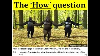 The HOW question Gorillas  WJEC GCSE English reading [upl. by Osman]