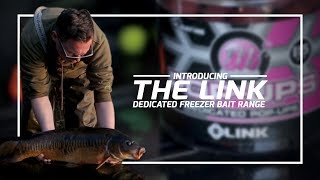 Mainline Baits Carp Fishing TV  Introducing The Link [upl. by Iiette]