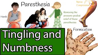 Numbness and Tingling Causes of Paresthesia [upl. by Kennie]