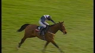 1996 Hennessy Cognac Gold Cup Coombe Hill  Replay amp Enclosure [upl. by Aicelet]