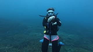 Burger Dive  TIOMAN [upl. by Iem299]