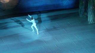 Swan Lake ballet Siegfried´s solo in Act 1 [upl. by Ellerd]